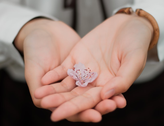 Handpeeling selber machen - Gepflegte Hände mit Hausmitteln